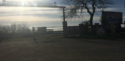 Reportan actos vandálicos en instalaciones de la Arena Caballo Dorado