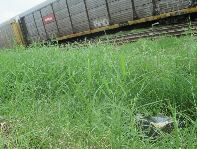 Tren le destroza la pierna a residente de la colonia Bravo de Piedras Negras
