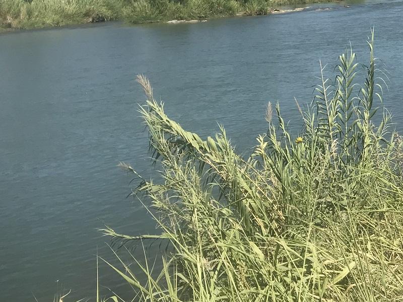 Recuperan cuerpo de indocumentado ahogado en el río Bravo, cerca de El Indio