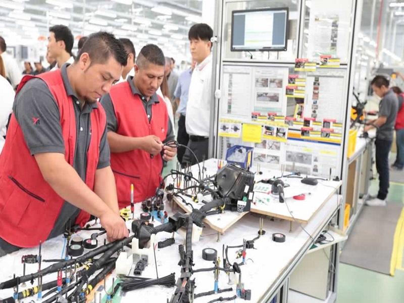 Creación de empleo formal en México se desploma 69% en julio