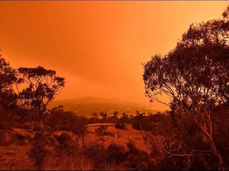 Fuera de control incendios forestales en Australia; suman 21 muertos
