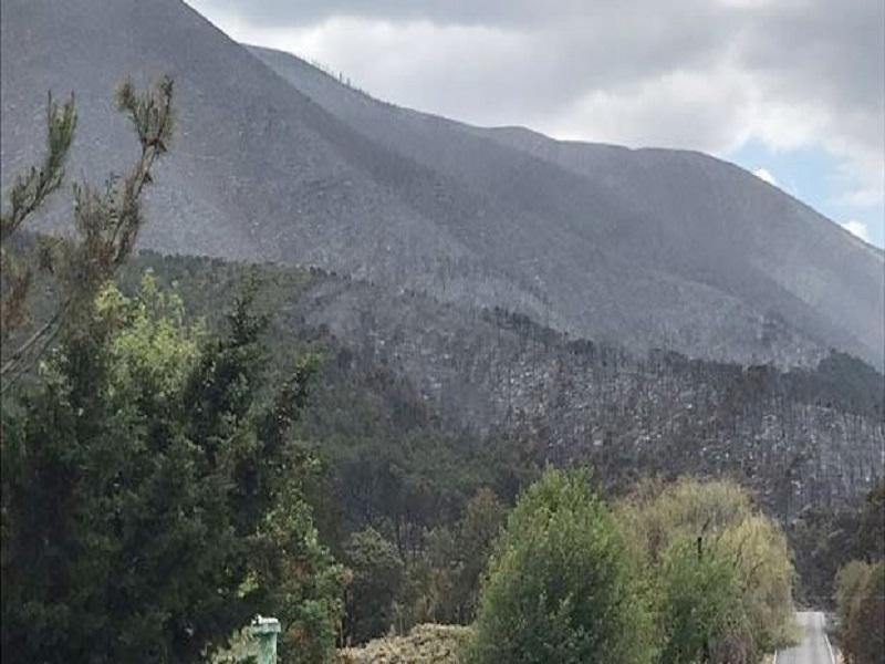 Localizaron a adultos mayores extraviados en la sierra de Arteaga