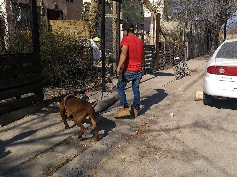 Denuncian p&uacute;blicamente envenenamiento de cinco mascotas en Piedras Negras