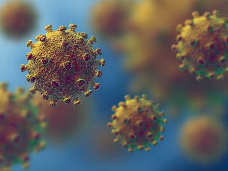 Llama Secretaría de Salud a evitar pánico por coronavirus