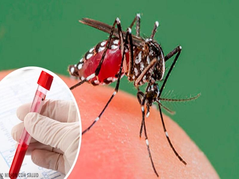 Confirman los primeros dos casos de Dengue en Coahuila en este 2020