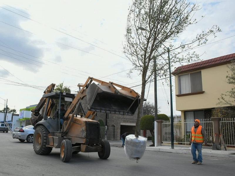Inician trabajos de arborización en la avenida López Mateos de Piedras Negras. (video)