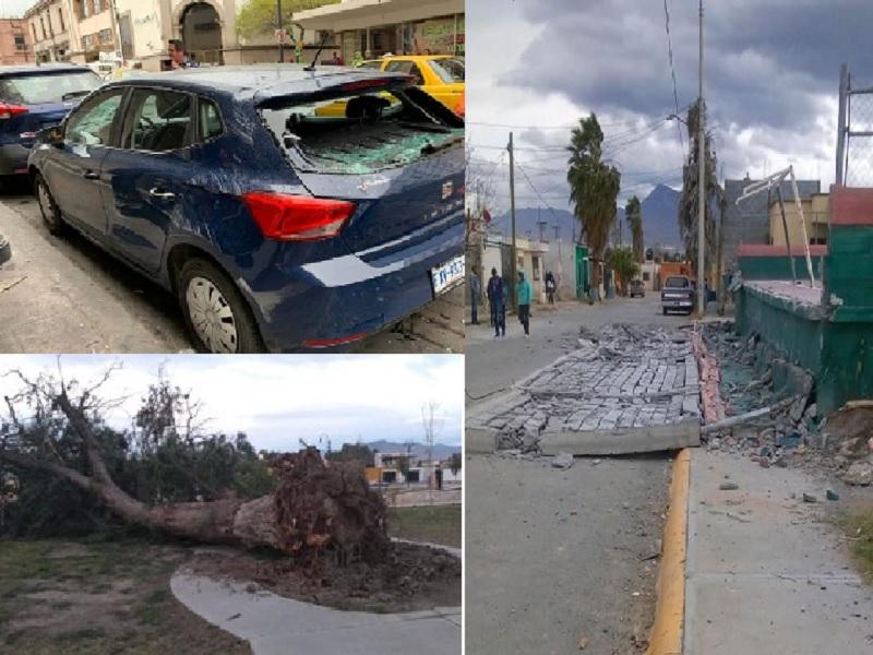 Fuertes vientos dejan árboles caídos, sectores sin electricidad y daños en varios sectores de Saltillo 
