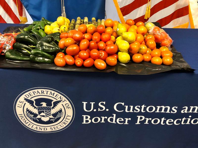 Proh&iacute;be Aduana de Eagle Pass ingreso de chiles y tomate fresco