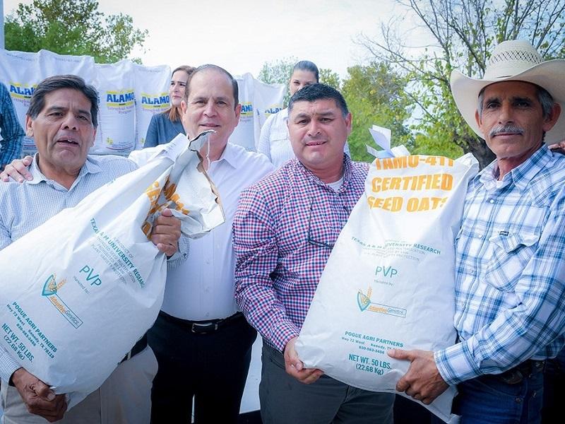 Preparan en Piedras Negras programa de semilla de sorgo forrajero para apoyo al campo