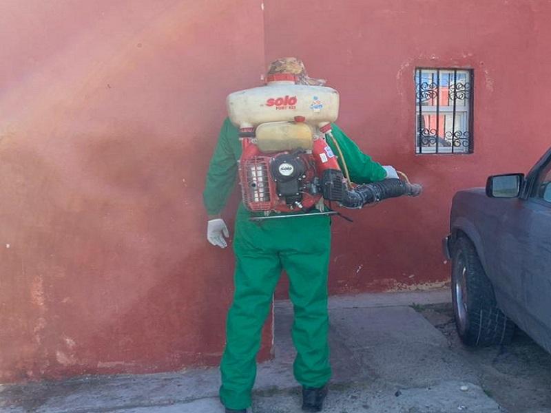Reportan presencia de garrapatas en domicilios de Piedras Negras; Vectores acude a fumigar 