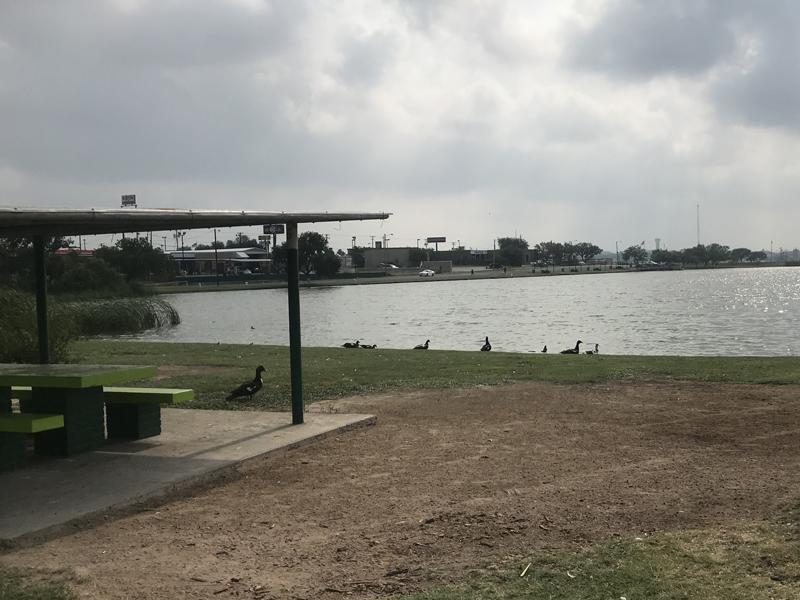 Invertir&aacute;n 60 mil d&oacute;lares para reforestar y mejorar el lago del Condado de Maverick