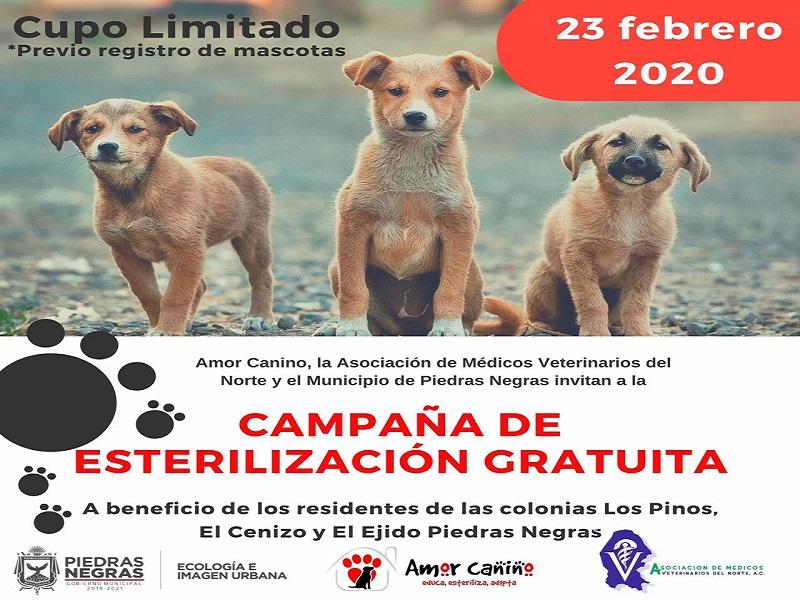 Habrá campaña de esterilización gratuita en el centro comuntario Los Pinos-Nueva Imagen