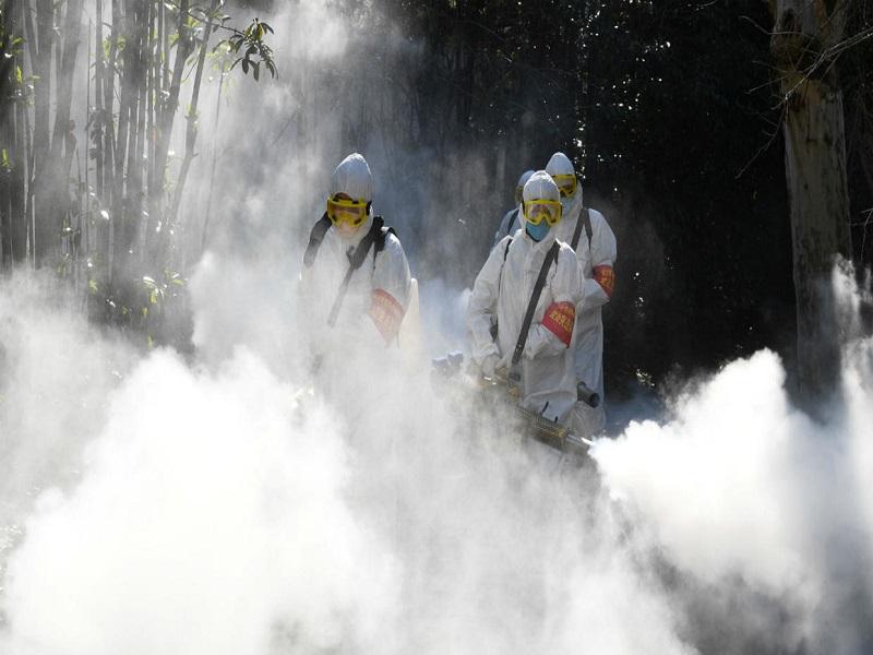 Descartan casos de Covid-19 en M&eacute;xico