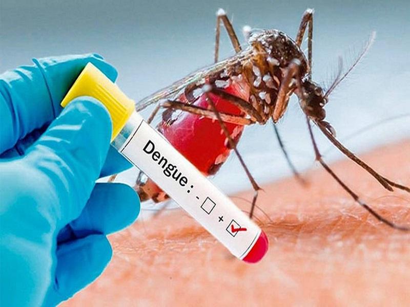 Aumentan casos confirmados de Dengue en México; hay dos en Coahuila