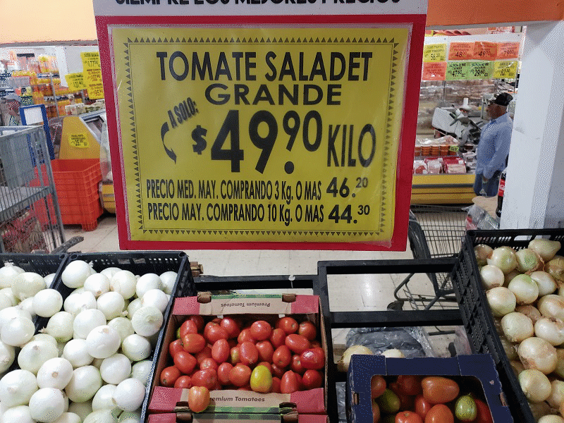 Alcanzó el tomate los 50 pesos por kilo en Piedras Negras