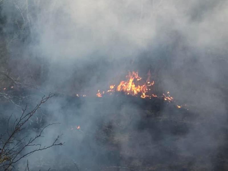 Incendio forestal avanza a orillas del Río Bravo, al norte del condado de Maverick