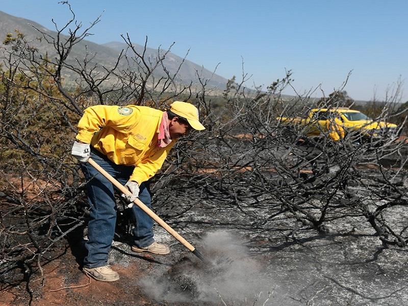 Coahuila reforzará con brigadas rurales la prevención y combate a incendios forestales