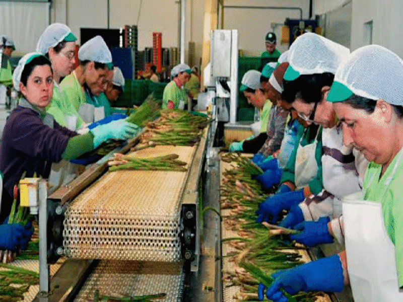 Divide opiniones el paro nacional de mujeres entre comerciantes de Piedras Negras: CANACO