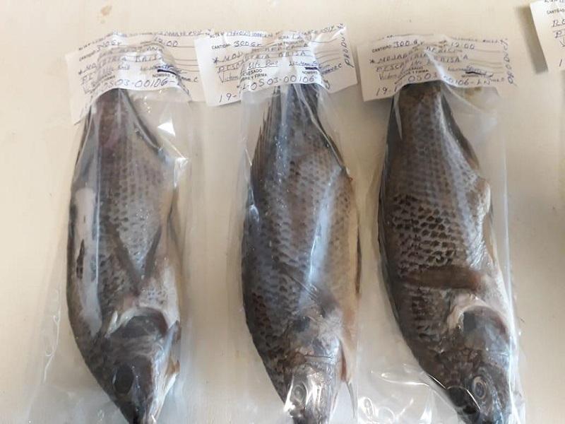 Salud ha suspendido 6 establecimientos durante el Operativo de Cuaresma