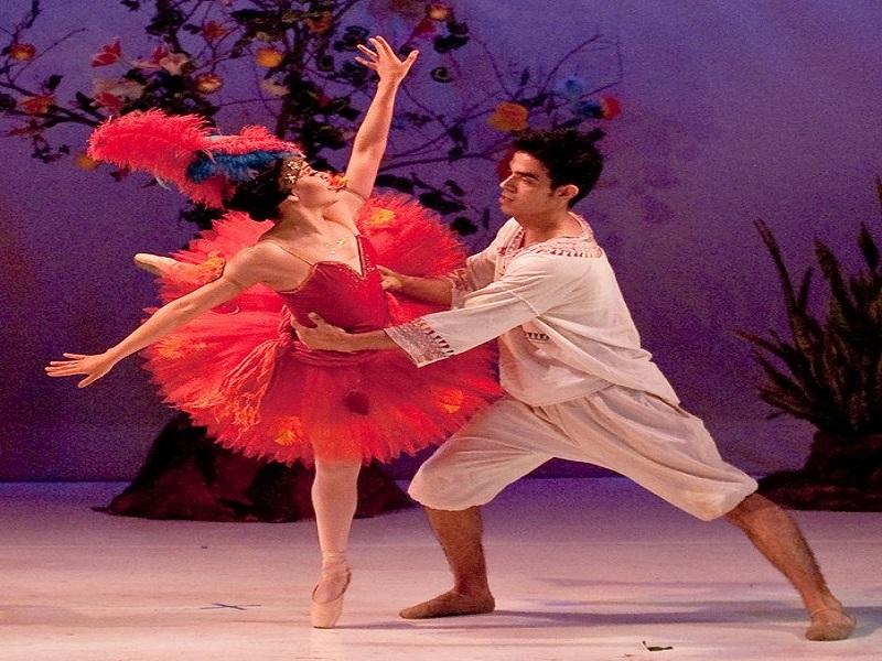 Anuncia Coahuila programaci&oacute;n en l&iacute;nea 