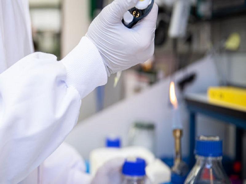 Se confirman 65 casos nuevos de coronavirus en M&eacute;xico; aumenta a 316