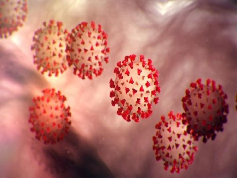 Confirman segundo caso de coronavirus en Del R&iacute;o