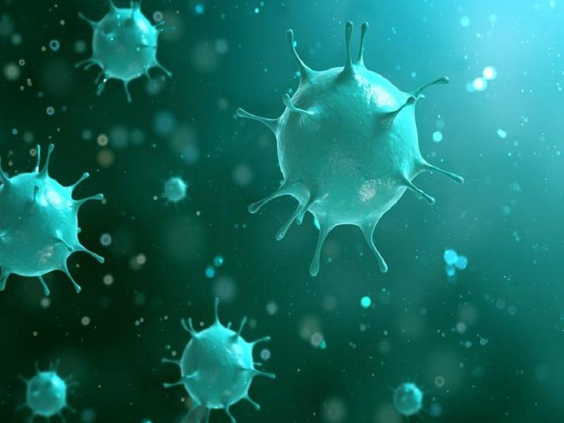 Confirma Nuevo Le&oacute;n dos casos m&aacute;s de COVID-19, van 66