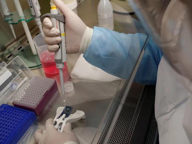 Hasta 200 mil muertes y millones de contagios en EU, predice infect&oacute;logo