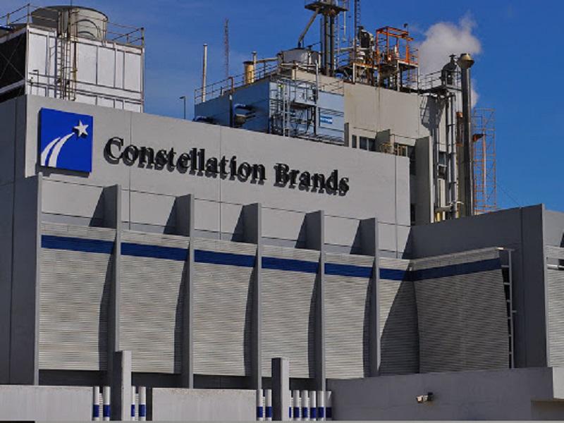 Es trabajador de Constellation Brands uno de los casos positivos de COVID-19 en Piedras Negras, viaj&oacute; a Canc&uacute;n 