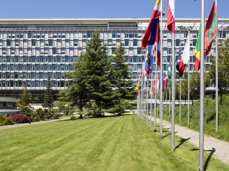 No se puede garantizar que curados de COVID-19 sean inmunes a segundo contagio: OMS