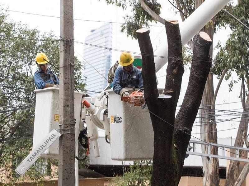 Mantendr&aacute;n subsidio a tarifas el&eacute;ctricas del sector dom&eacute;stico durante contingencia por COVID-19