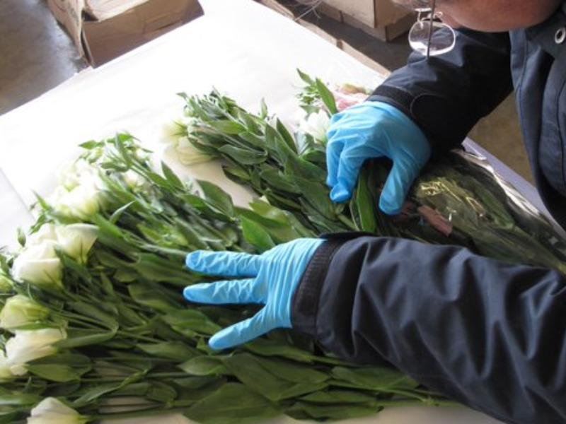 Ante pr&oacute;ximo festejo del D&iacute;a de las Madres, recuerdan prohibici&oacute;n de cruce de algunos arreglos florales 