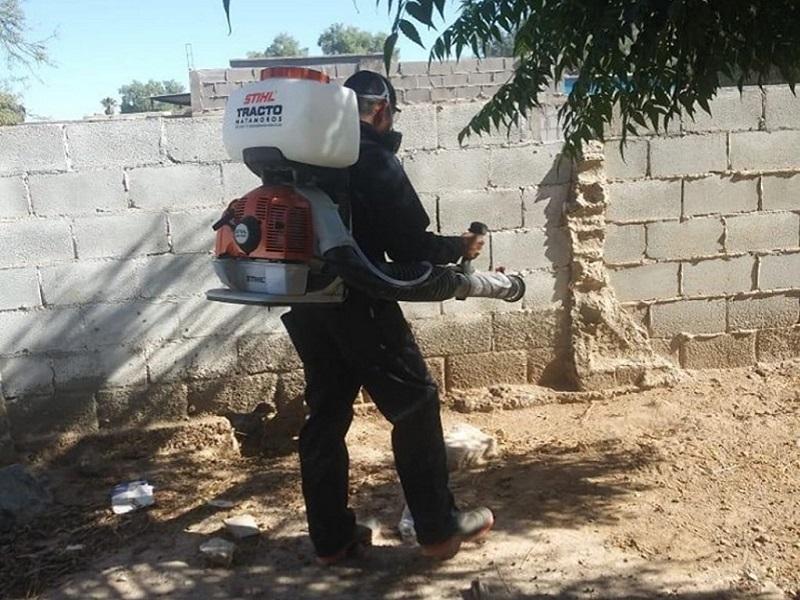 Preocupa incremento de garrapatas, chinches  y pulgas en Piedras Negras: Fumigador