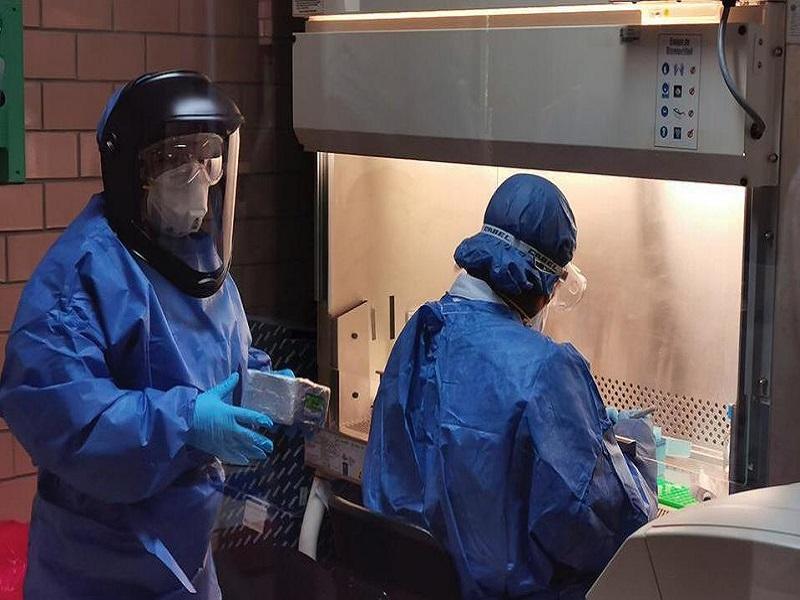 En dos o tres semanas el pico de contagios de COVID-19 en Nuevo Le&oacute;n; suman 987 Y 33 decesos