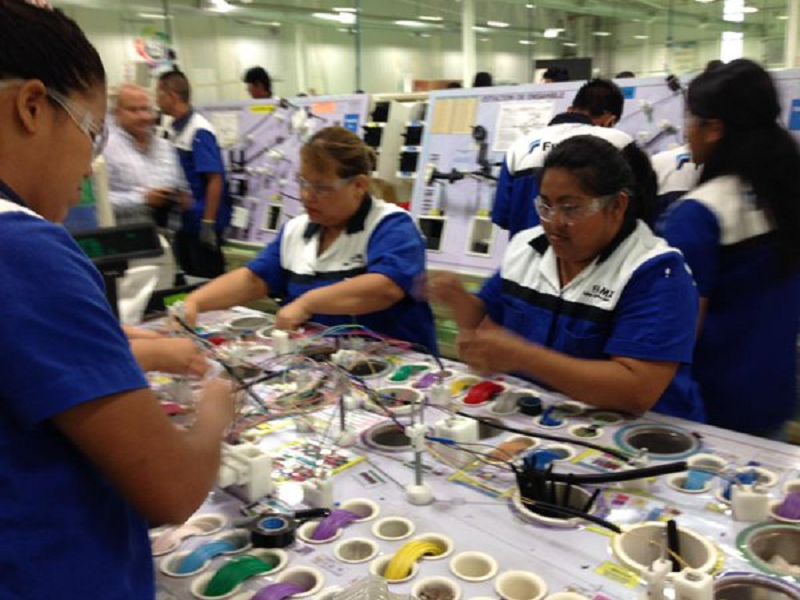 Regresar&aacute;n a trabajar el lunes 25 de mayo Fujikura y DayStar Trim Systems 