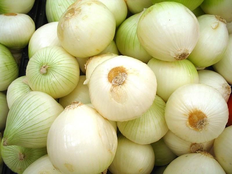 Empresa Borders Melons dona 8 toneladas de cebolla a Piedras Negras