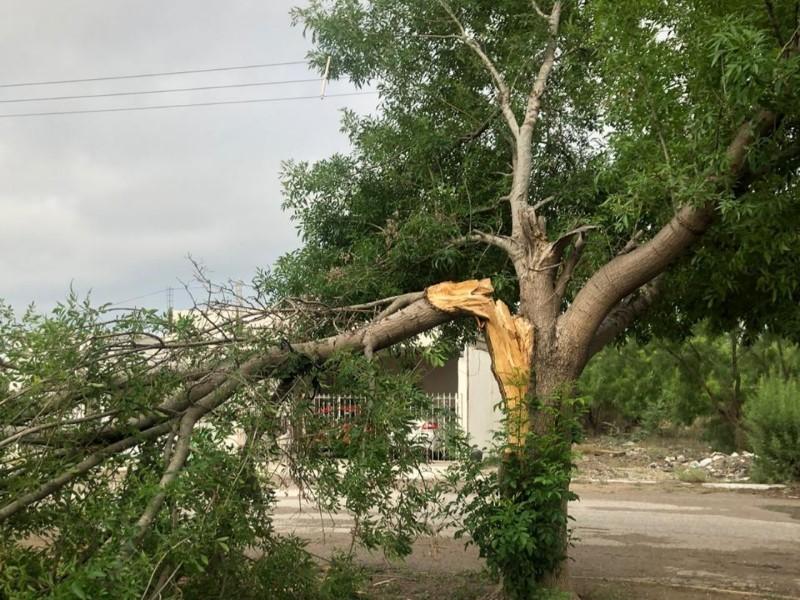 Sorpresiva tormenta deja daños materiales en el municipio de Morelos