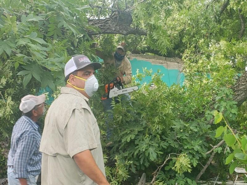 Encabeza alcalde de Morelos evaluación de los daños que dejó la tormenta