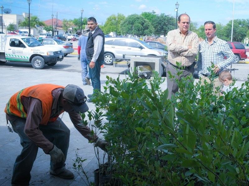 Regalar&aacute;n entre 1000 y mil 500 &aacute;rboles para celebrar el D&iacute;a Mundial del Medio Ambiente en Piedras Negras