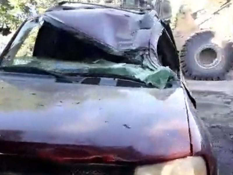 Sigue retiro de &aacute;rboles ca&iacute;dos tras tromba en Morelos