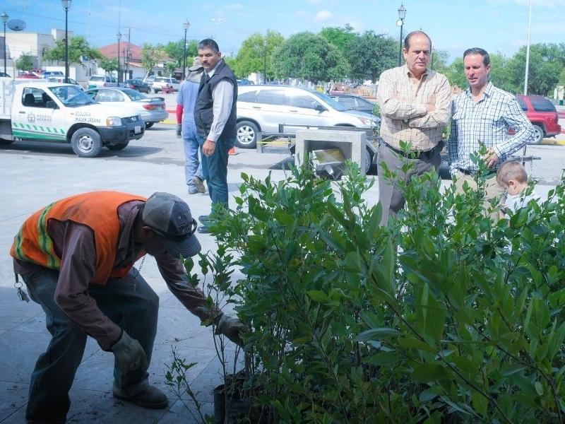 Direcci&oacute;n de Ecolog&iacute;a de Piedras Negras regalar&aacute; &aacute;rboles este viernes