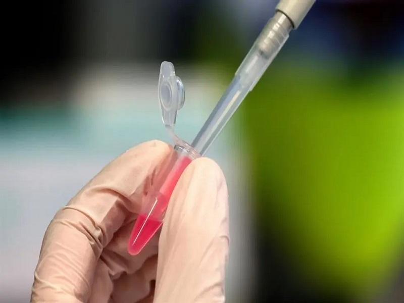 China, EU y Reino Unido lideran la carrera para encontrar la vacuna contra el coronavirus