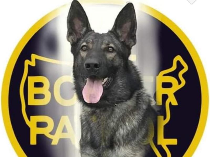 Realizan agencias de la ley de Eagle Pass emotivo cortejo f&uacute;nebre a oficial canino