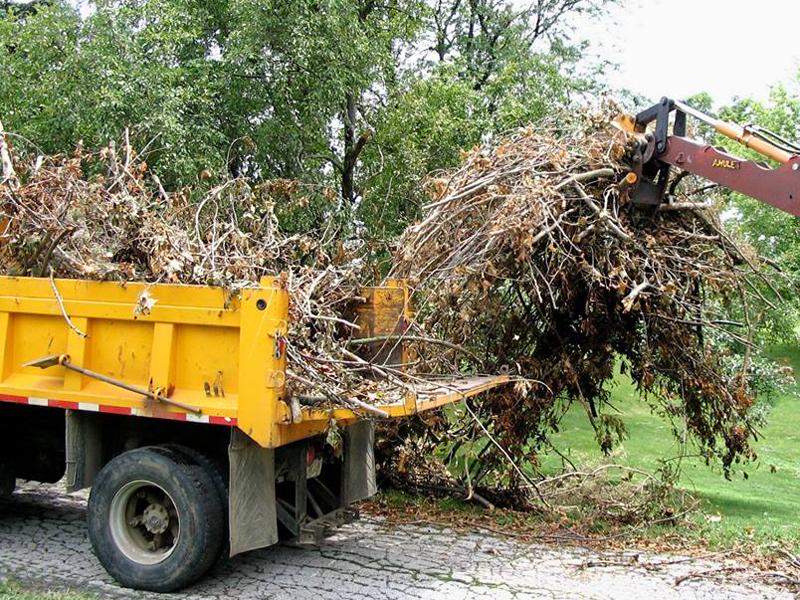 Realizan campa&ntilde;a extensiva de limpieza en colonias al sur del Condado de Maverick