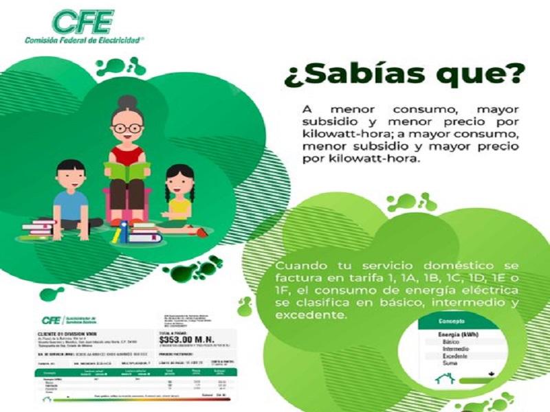 CFE respetar&aacute; tarifas y subsidios durante la cuarentena por COVID-19