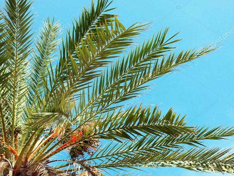 Seguir&aacute; el sol y calor para los pr&oacute;ximos d&iacute;as