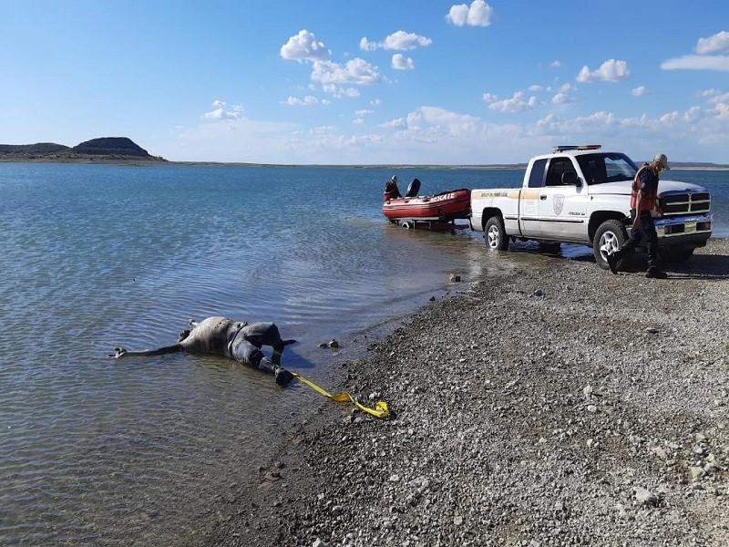 Recuperan cuerpo de hombre ahogado en la presa La Amistad en Acuña