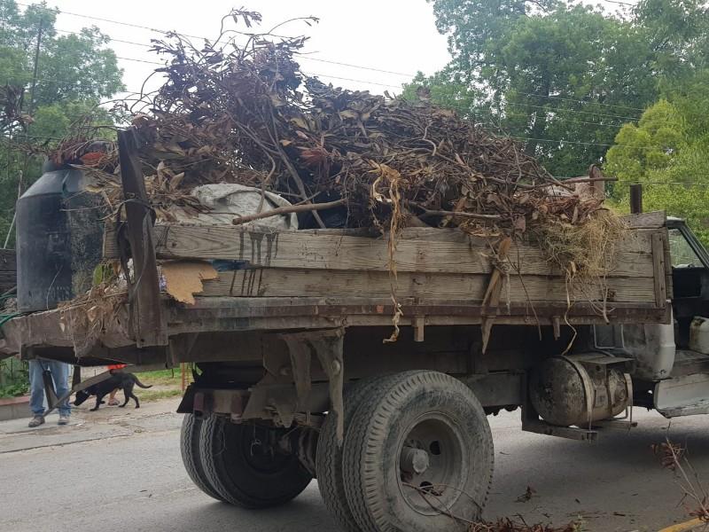 Concluye campa&ntilde;a de descacharrizaci&oacute;n en Allende