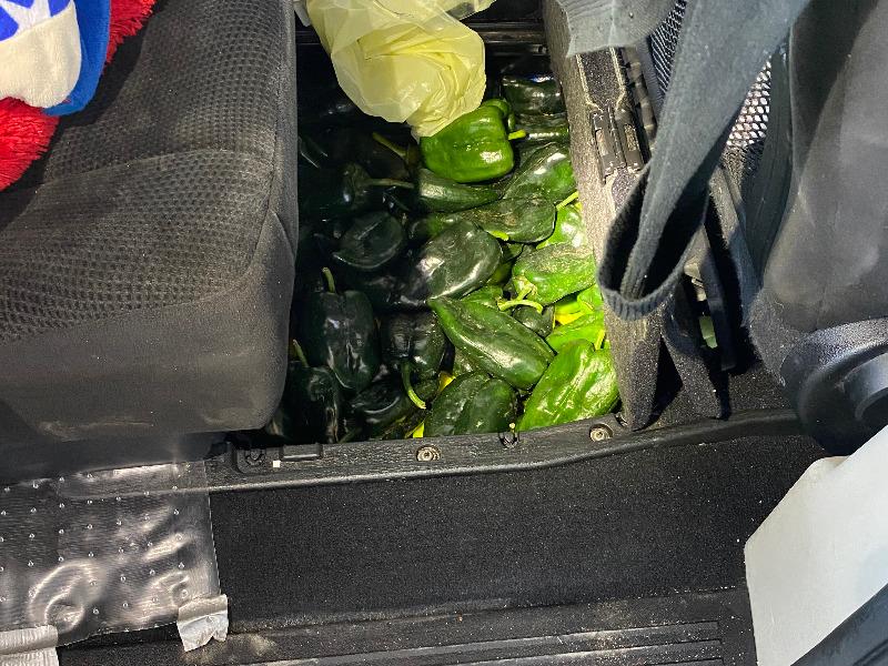 Aduana de Eagle Pass confisc&oacute; chile fresco y semilla de trigo ocultos en un auto particular