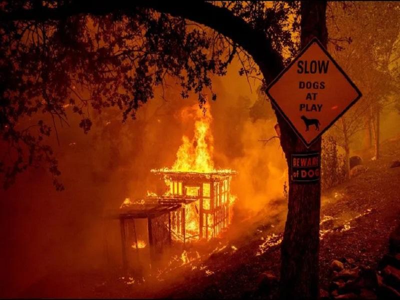Evacuan a miles por incendios forestales al norte de California